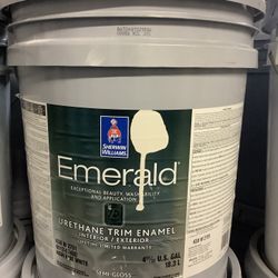 Interior/Exterior Urethane Enamel Paint (Gossamer Veil)