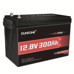 300aH LifePo4 200 BMS Lithium Battery 