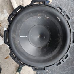10 Bass Speaker
