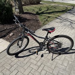 Liv 24” Enchant bike