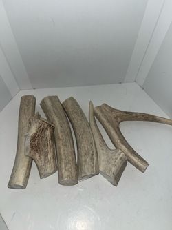 Elk Antler Pieces