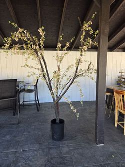 Party decor tree