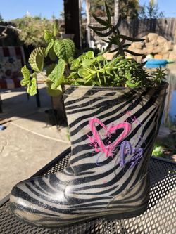 Boot full of succulents