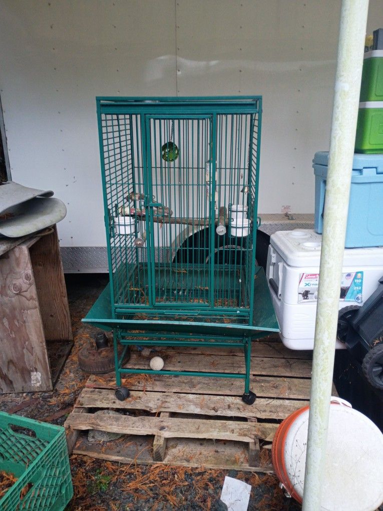 Bird Cage