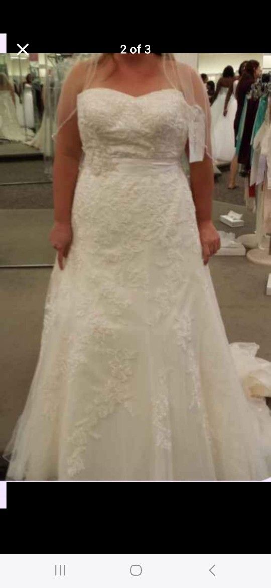 Wedding Dress And Veil