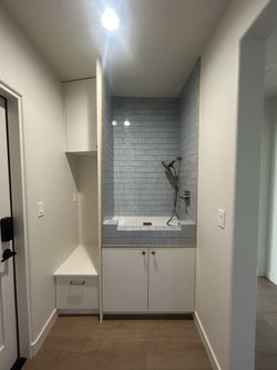Custom Cabinets DOG WASH