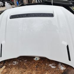 2015 To 2020 F-150 Hood With Vents.