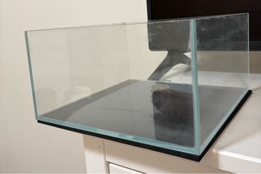2 Gallon UNS Clear Glass Rimless Aquarium Tank