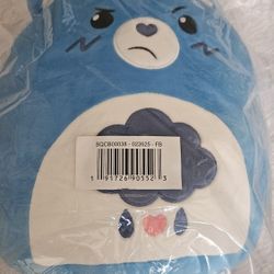 Grumpy Bear Care Bear Squishmallow 