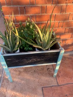 Red Brick Garden Plants