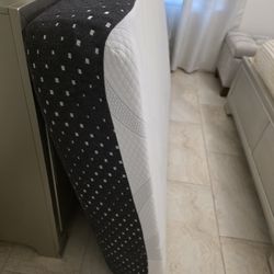 Monster twin very clean