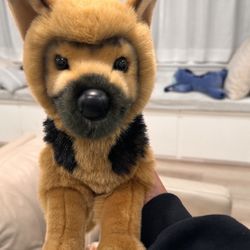 Douglas Dog German Shepherd 