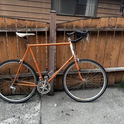 Rivendell Rambouillet; 66cm (XL), Steel Road/All-Surface Bike