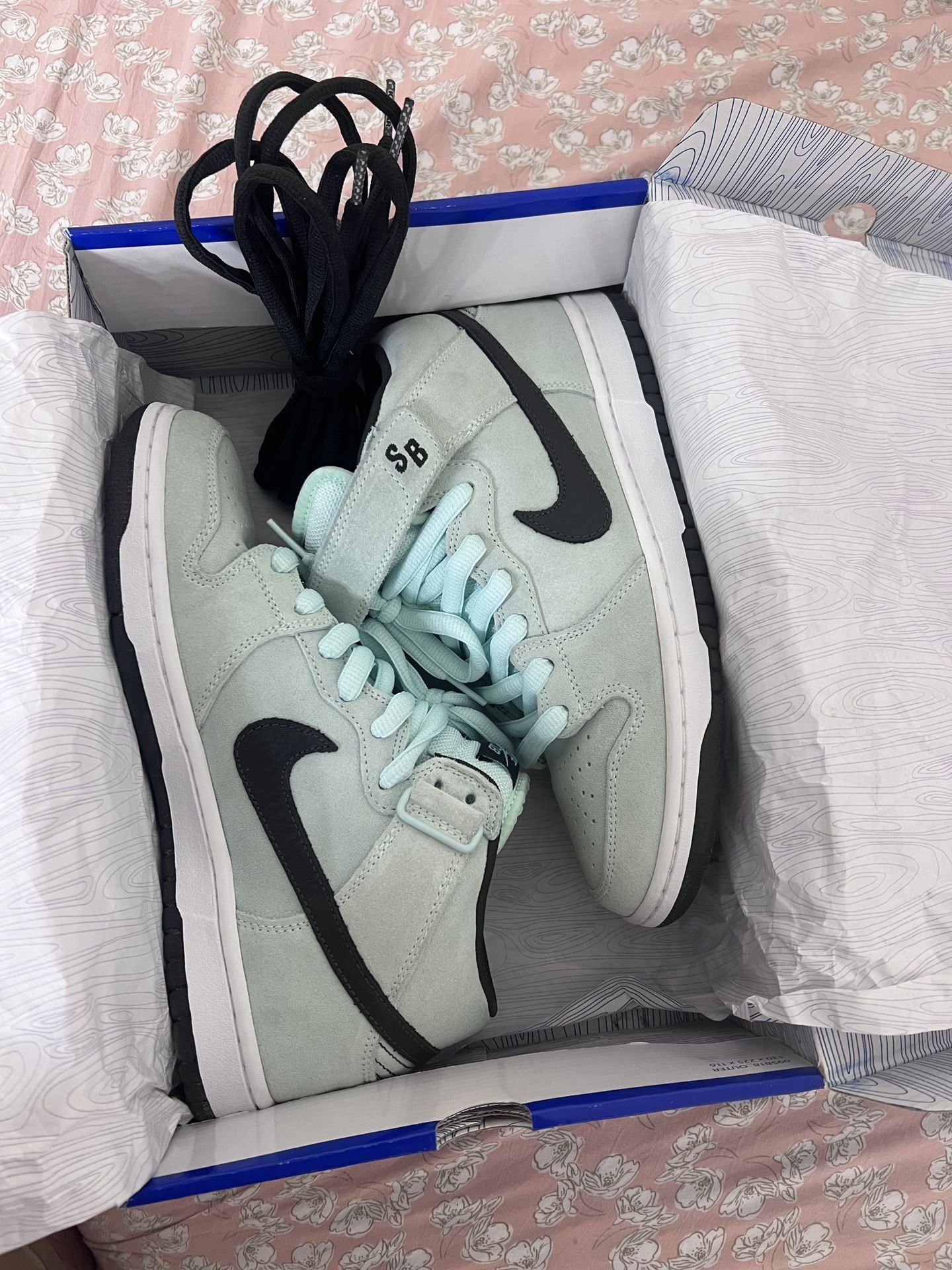 SB NIKE DUNKS