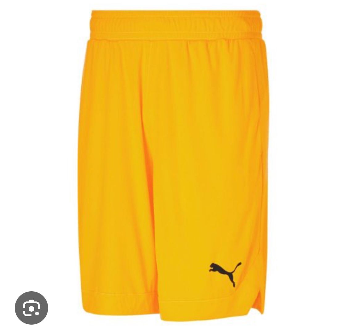 Puma shorts