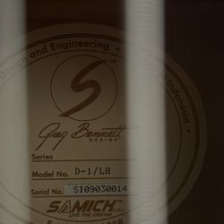 LH Acoustic Guitar 
