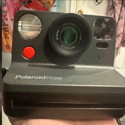Polaroid 