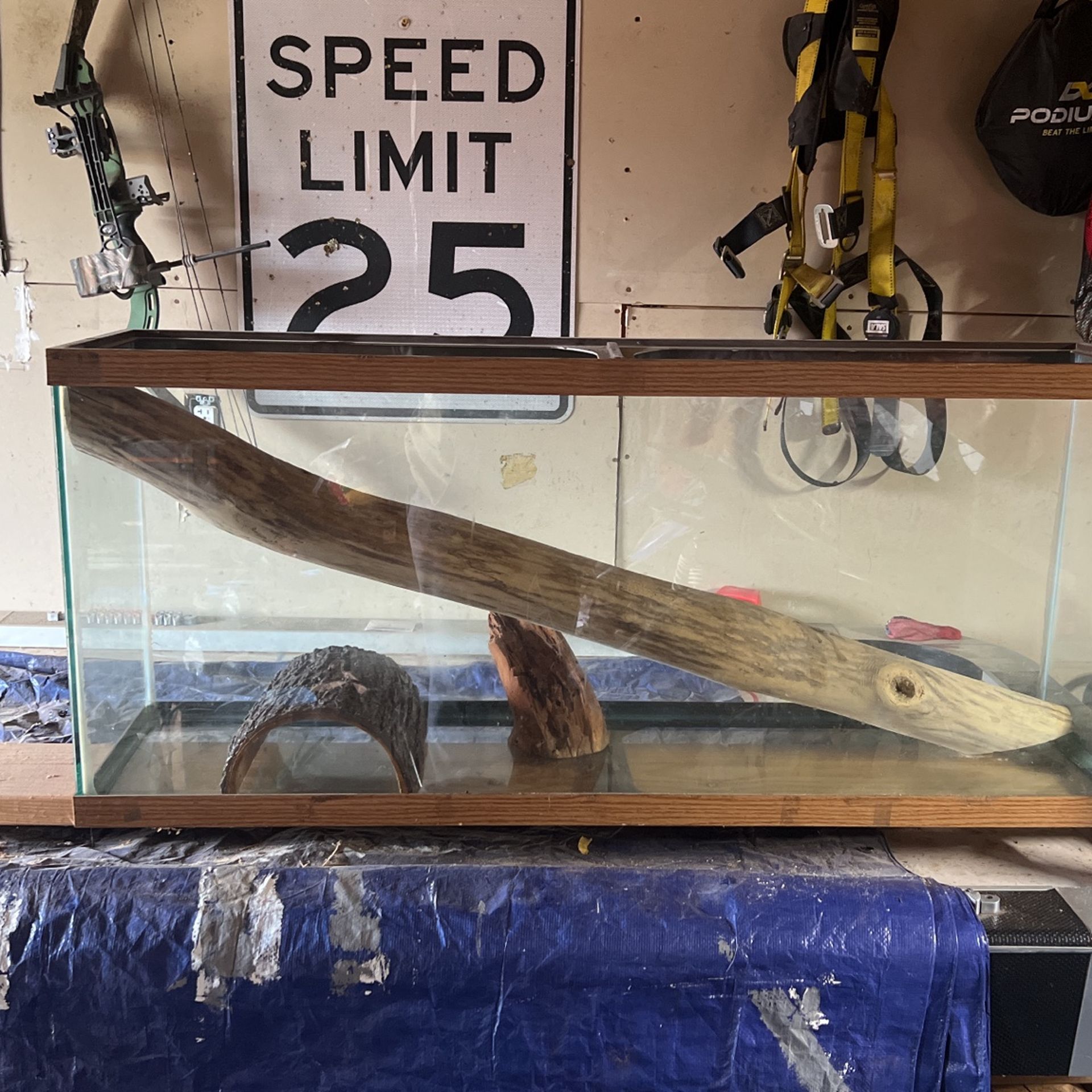 Reptile Tank