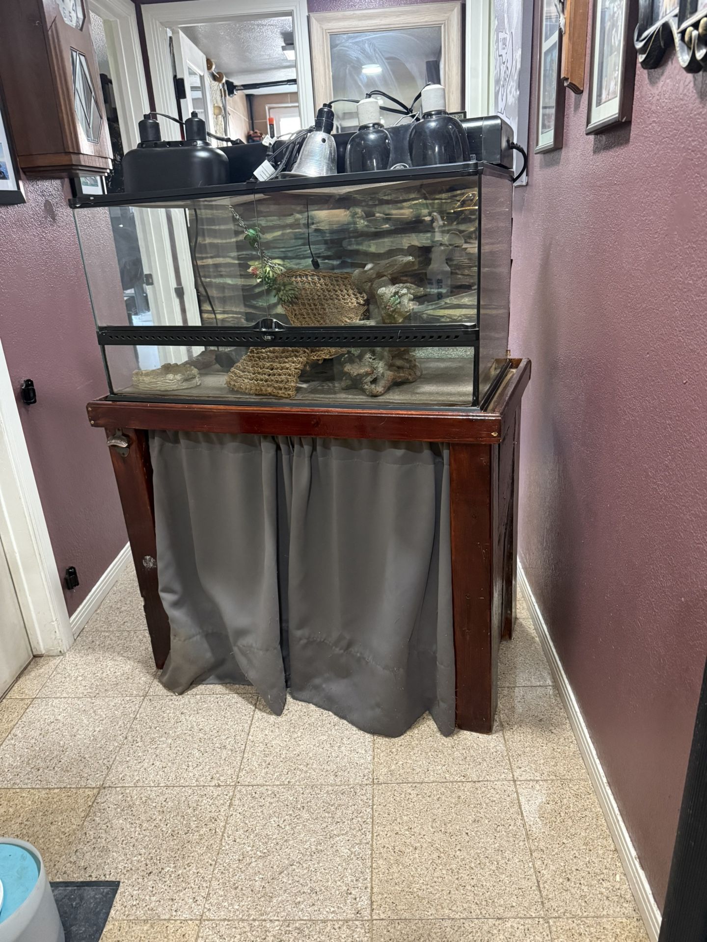 Exoterra Terrarium With Custom Stand And Lots Of Extras