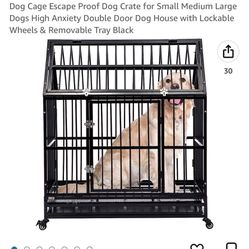 New My Dog Didn’t Like 