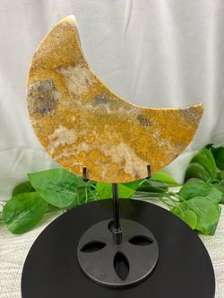 Crystal Coral Fossil Moon