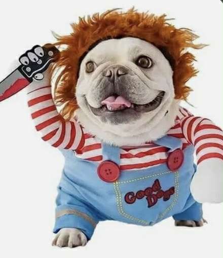 Disfraces Para El Perrito