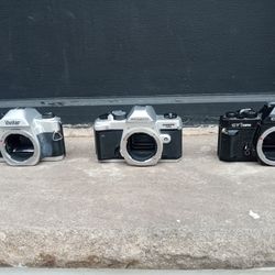 Film Camera Lot