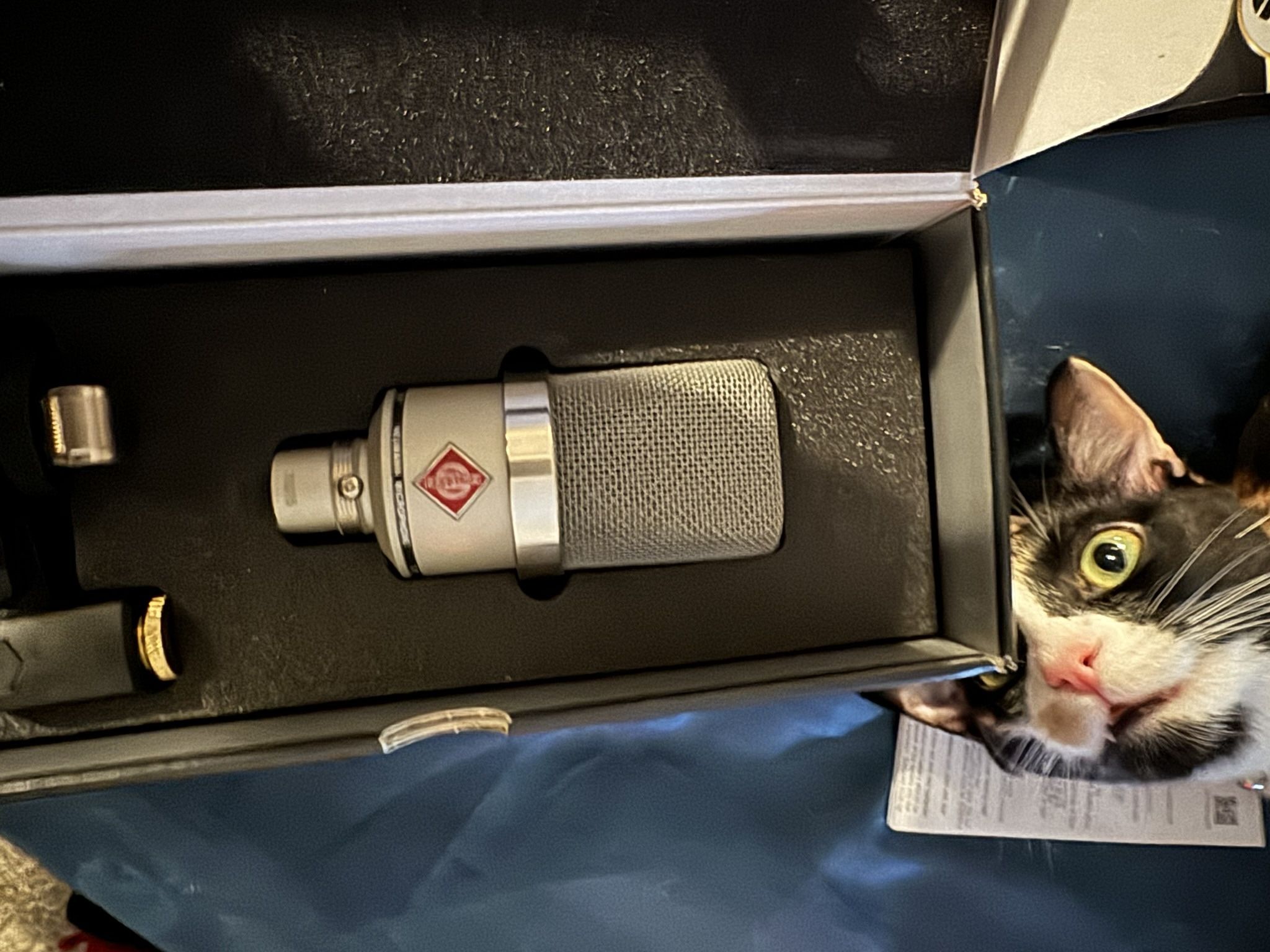 Neuman Mic 350 OBO