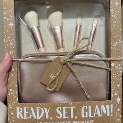 5 pc makeup brush set