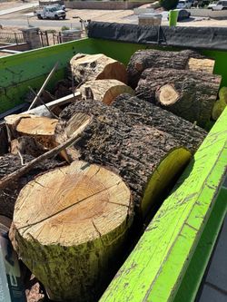 Logs Wood