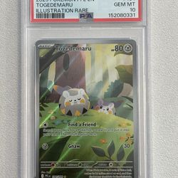 Pokemon PSA 10 GEM MINT TOGEDEMARU graded Slab