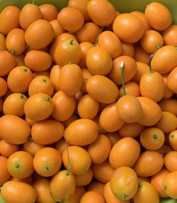 Kumquats Ready For Sale 