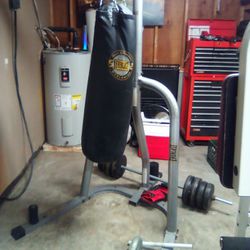 Universal Weight Set And  Everest  Punching Bag 