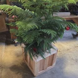 Custom Built Planter Boxes 