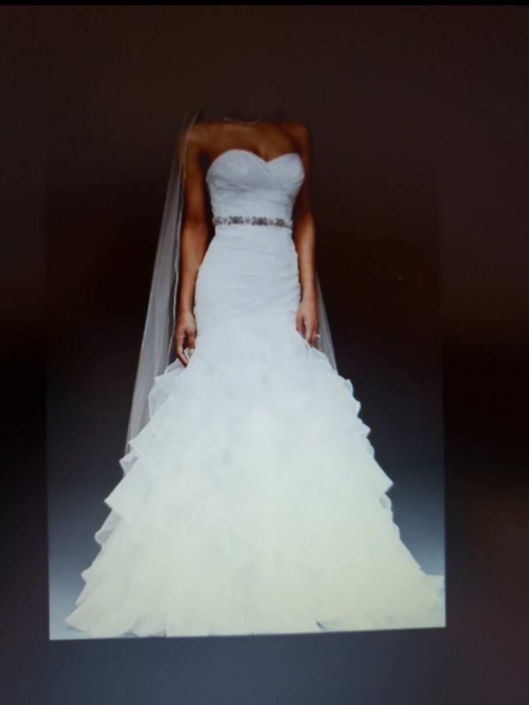 Unused David’s Bridal Mermaid Wedding Dress and Veil