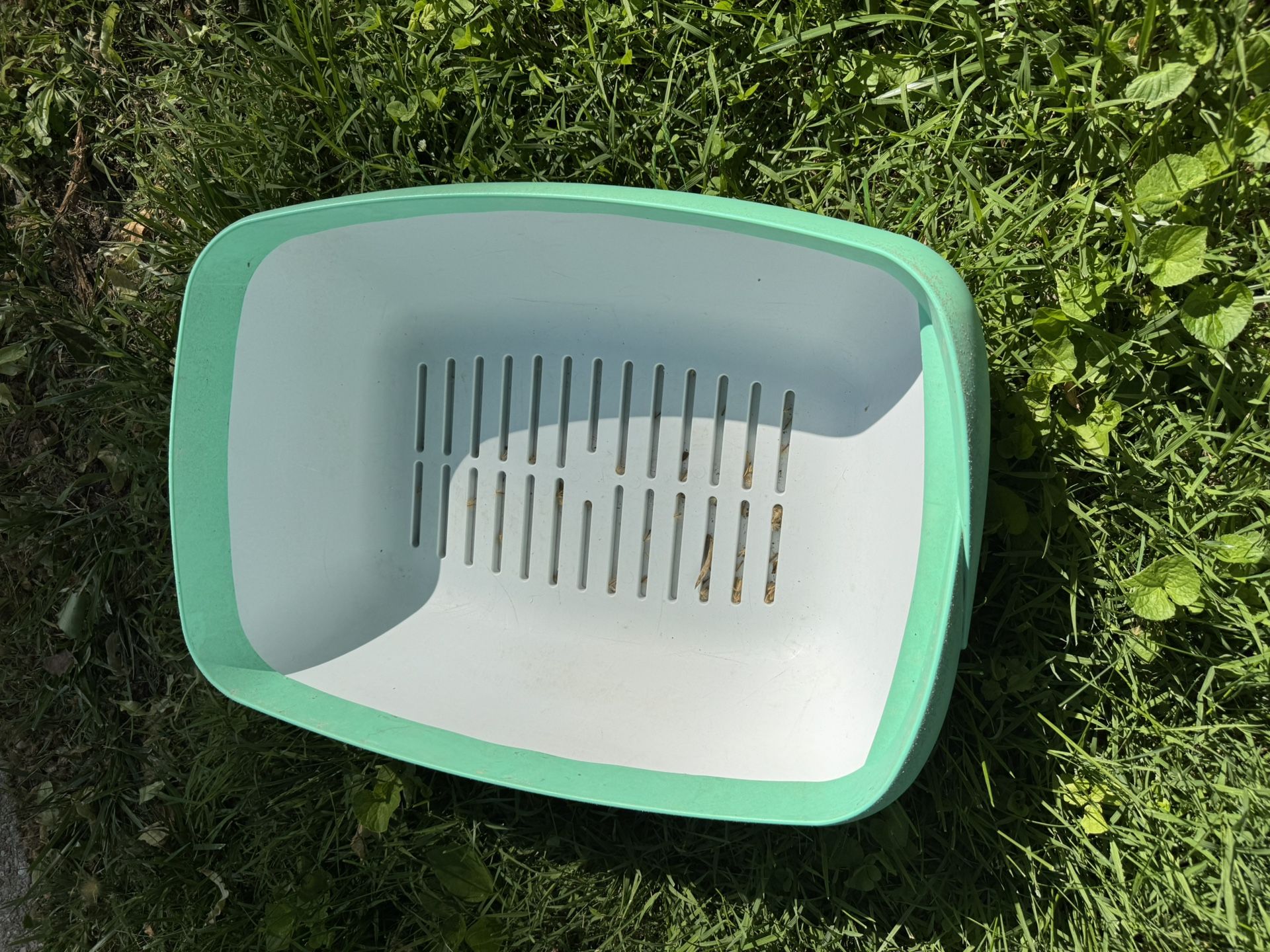 FREE Cat Litter Box