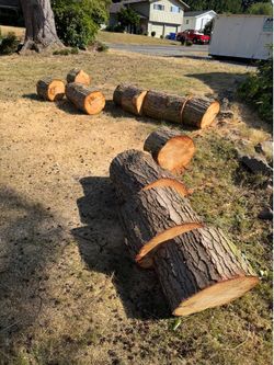 Free Fire wood