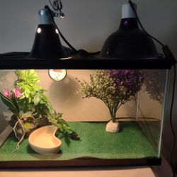 11 Piece 10 Gallon Double Lamp Up Tall Tank