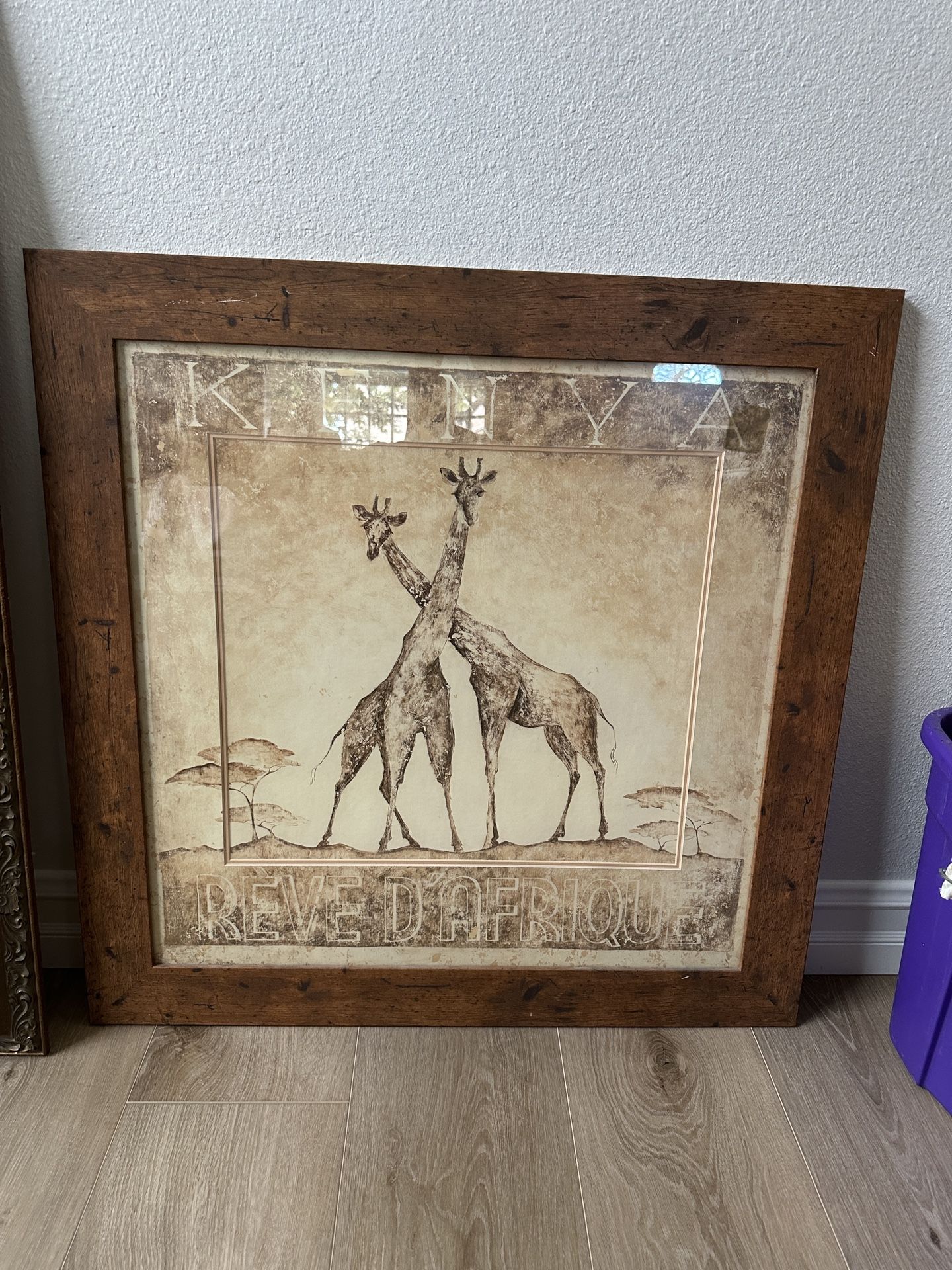 32.5” X 32.5” Framed Picture