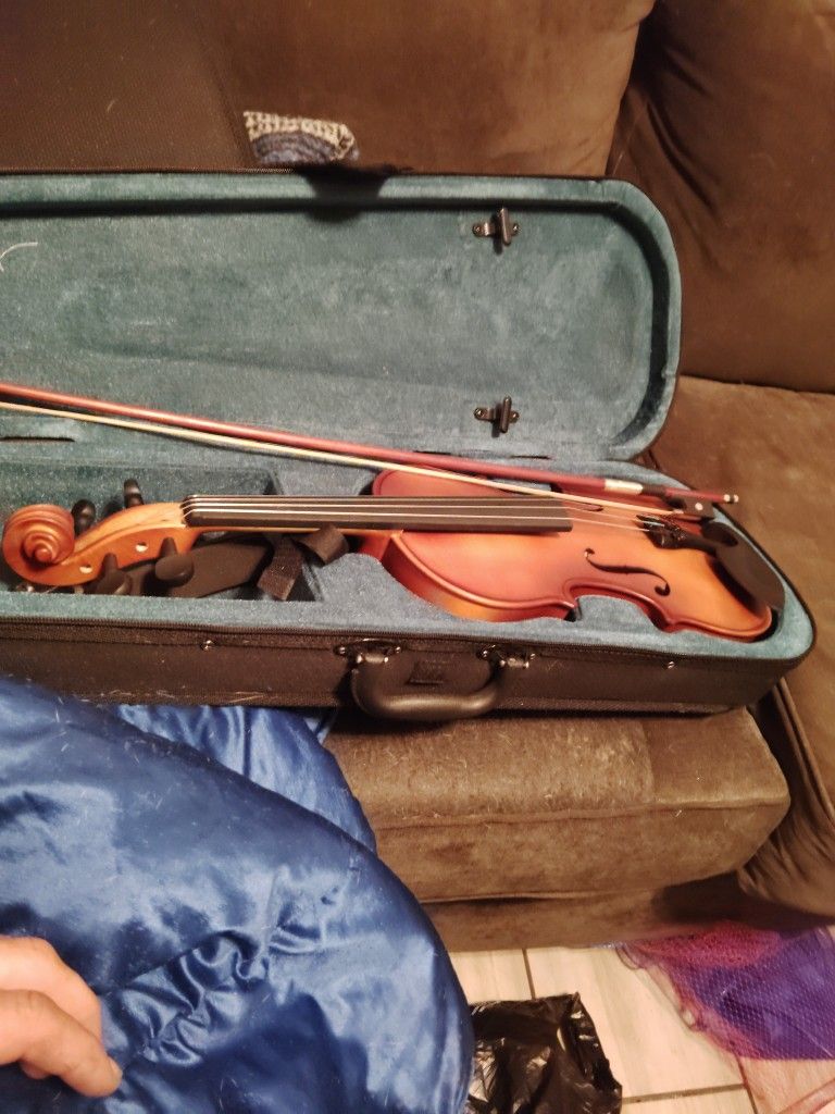 Violin 65 Dollars Case Everything Else