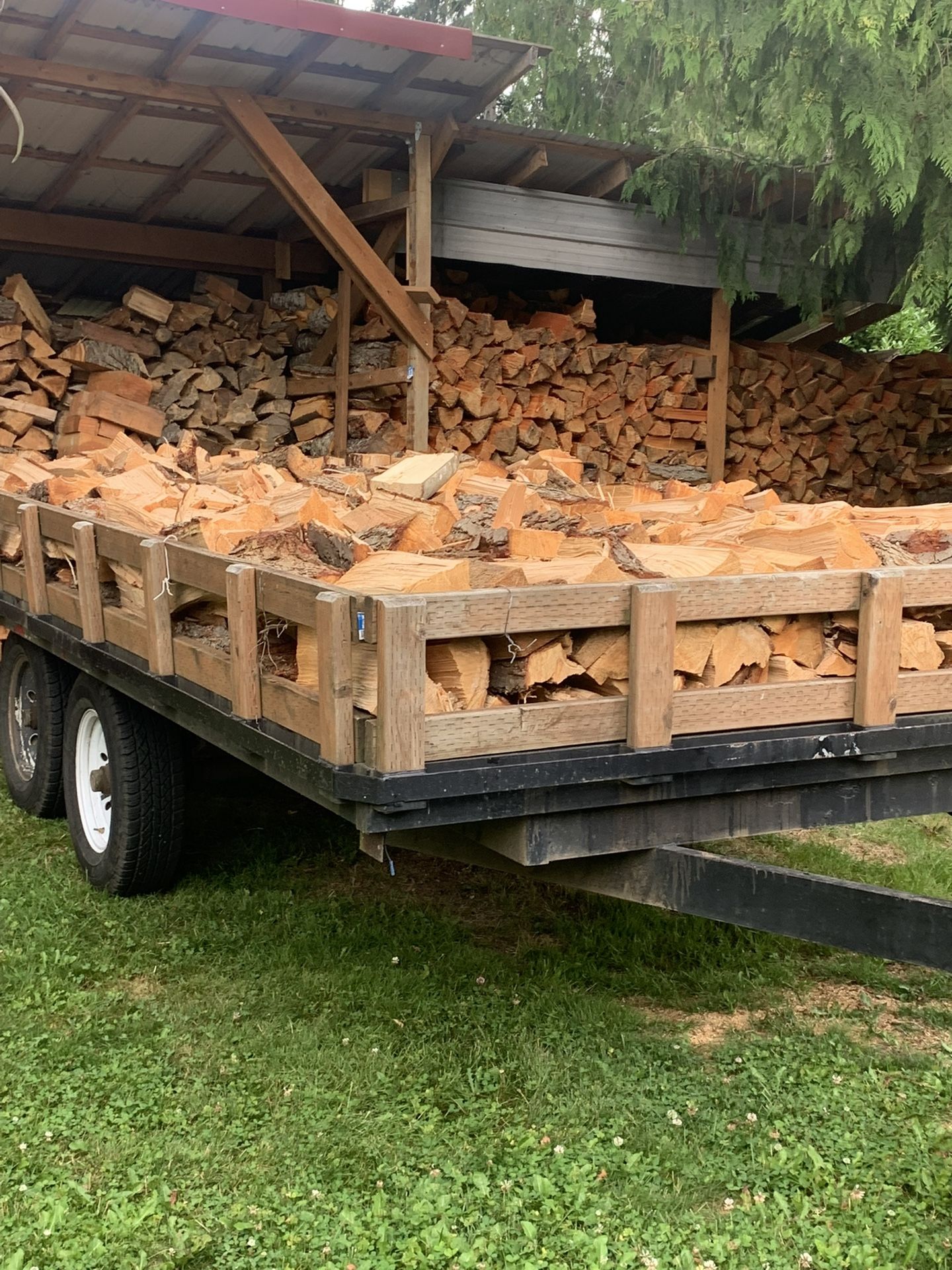 Seasoned Firewood