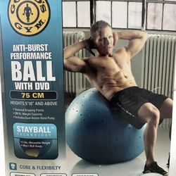 For Sale Golds Gym 75cm Stay Ball Exercise Ball With Pump 