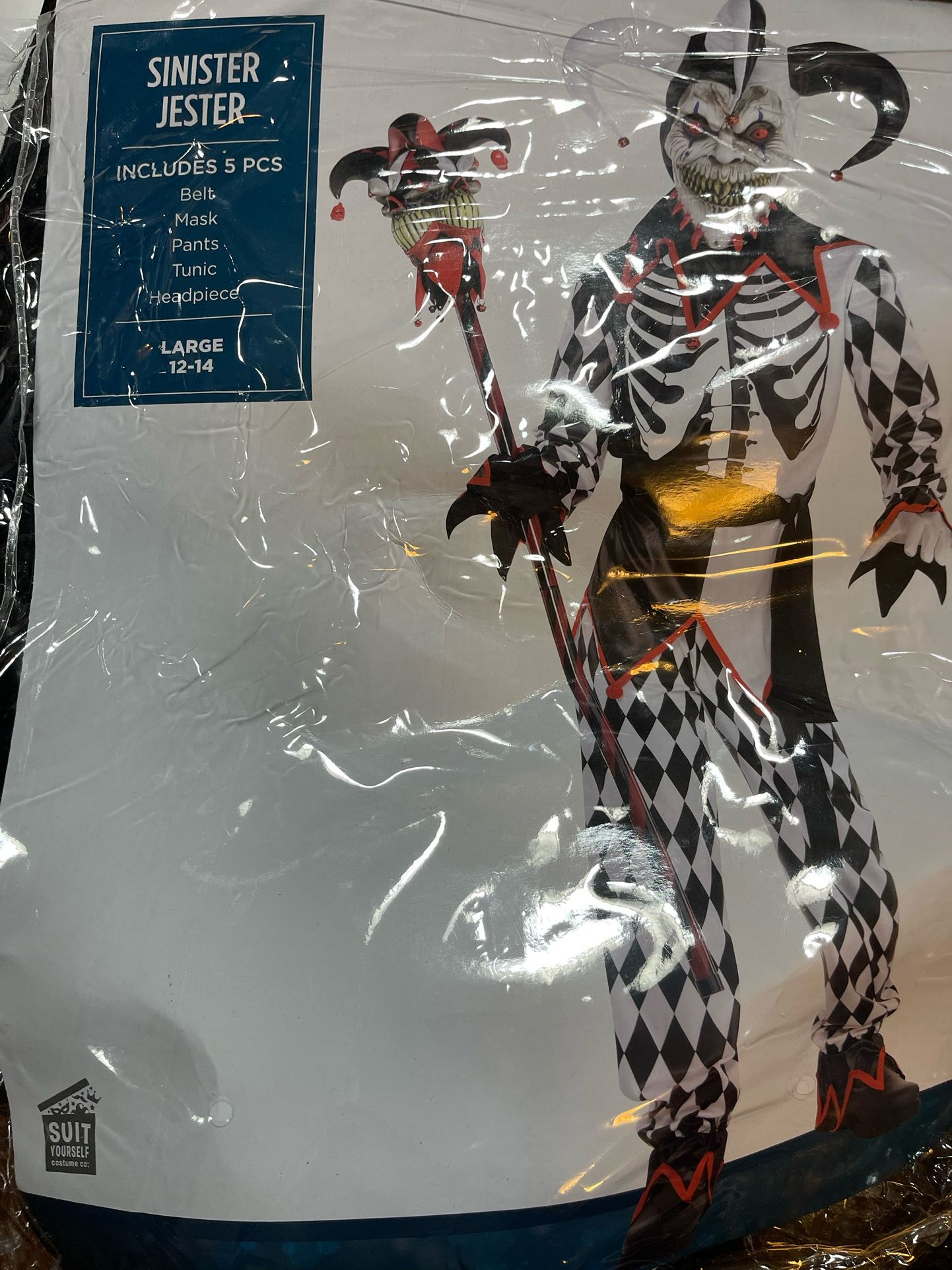 Halloween Costume