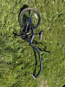 Riding Bike Trailer