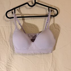 Victoria's Secret PINK Lavender Seamless Pushup Bra