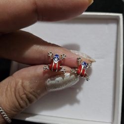 PR Flag Coqui EaRrings Small Silver