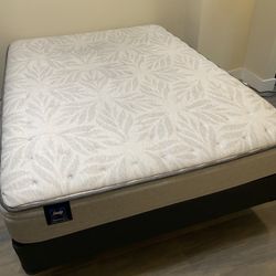 Sealy Posturepedic QUEEN 12” Medium Mattress + Box Spring Foundation & Bed Frame