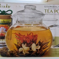 Primula Flowering Tea With Teapot 