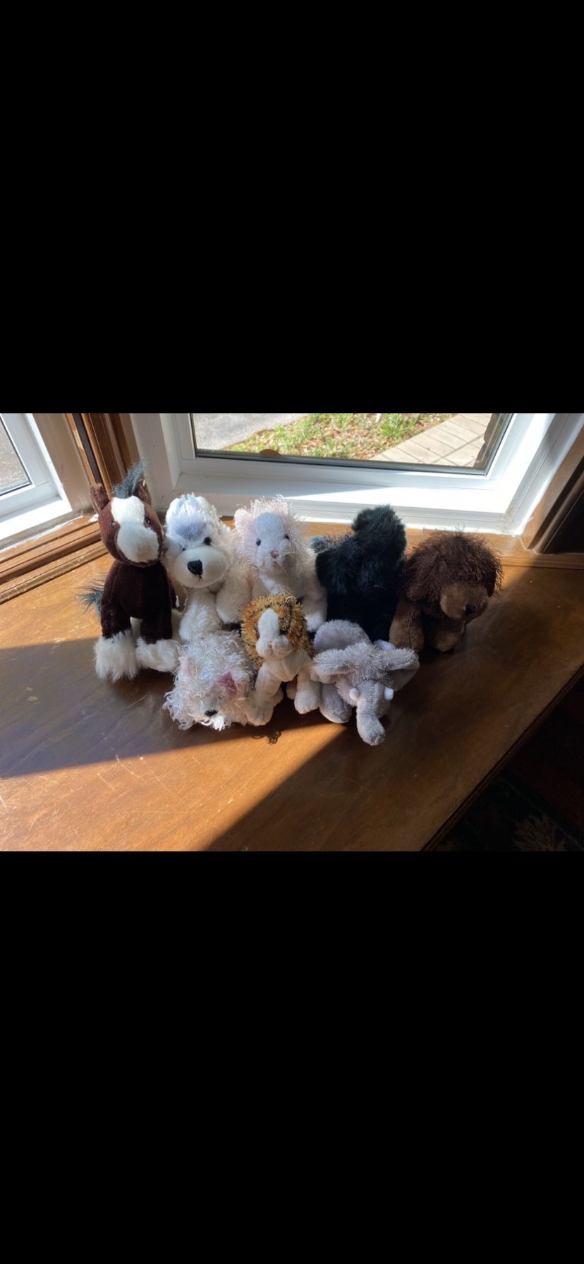 Assorted Webkinz