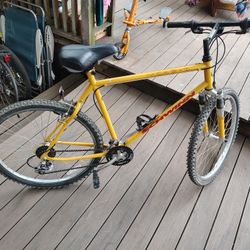 Vintage 90's 1995 Schwinn Moab 21" Mountain Bike Bicycle